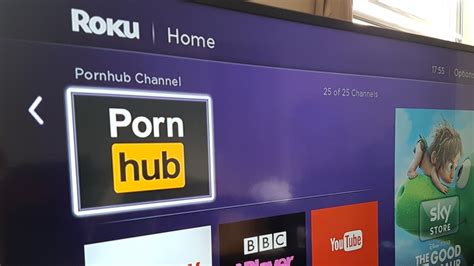 pornhub app|You can now watch Pornhub on your TV for free .